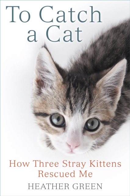E-knjiga To Catch a Cat Heather Green