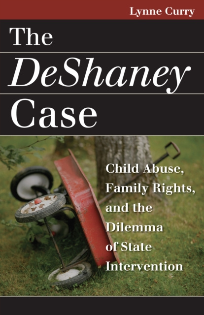 E-book DeShaney Case Lynne Curry