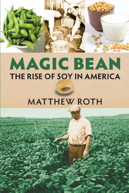 E-knjiga Magic Bean Matthew Roth