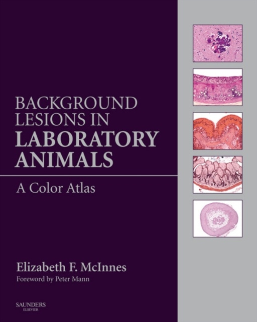 E-kniha Background Lesions in Laboratory Animals E-Book Elizabeth Fiona McInnes