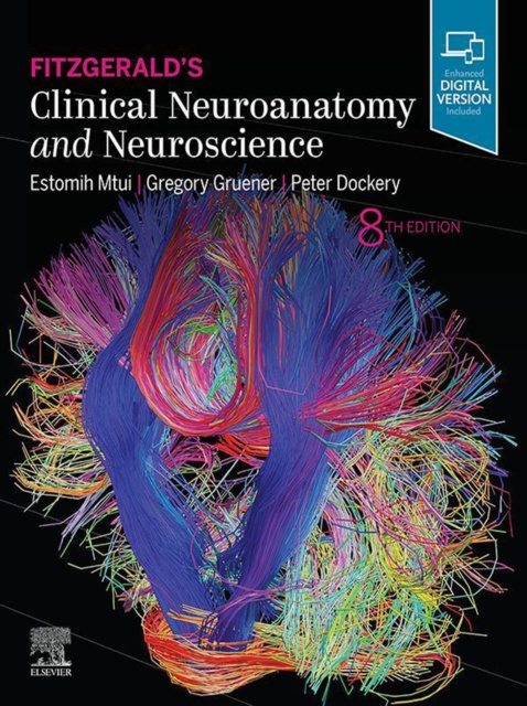 E-kniha Fitzgerald's Clinical Neuroanatomy and Neuroscience E-Book Estomih Mtui
