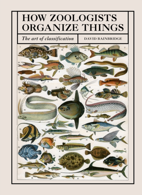 E-kniha How Zoologists Organize Things David Bainbridge