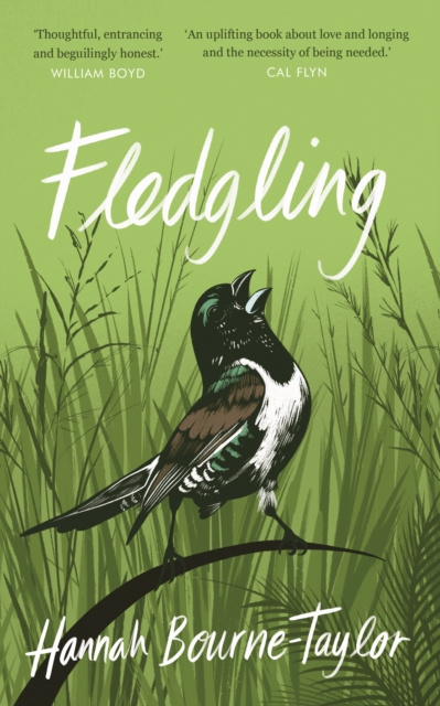E-knjiga Fledgling Hannah Bourne-Taylor