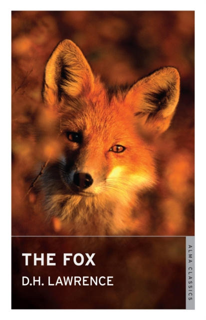 E-knjiga Fox D.H. Lawrence