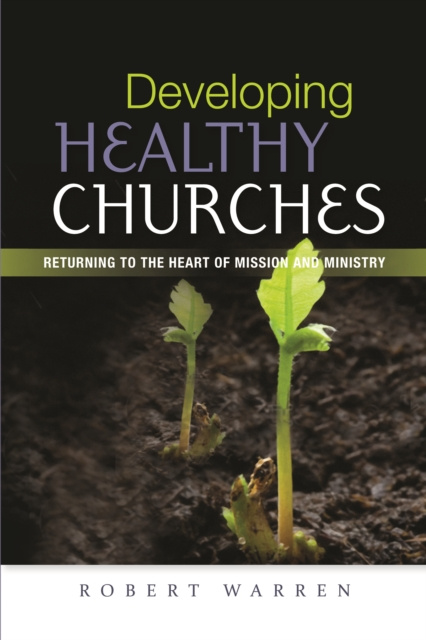 E-book Developing Healthy Churches Robert Warren