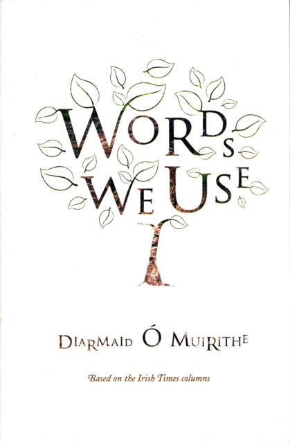 E-knjiga Words We Use Diarmaid O Muirithe