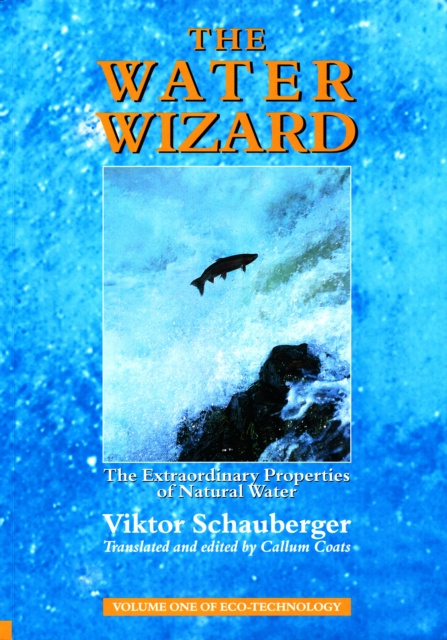E-kniha Water Wizard - The Extraordinary Properties of Natural Water Viktor Schauberger