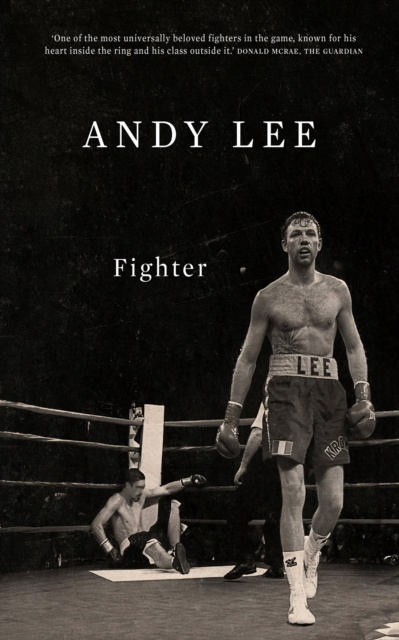 E-kniha Fighter Andy Lee