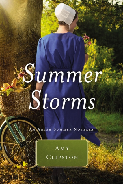 E-knjiga Summer Storms Amy Clipston