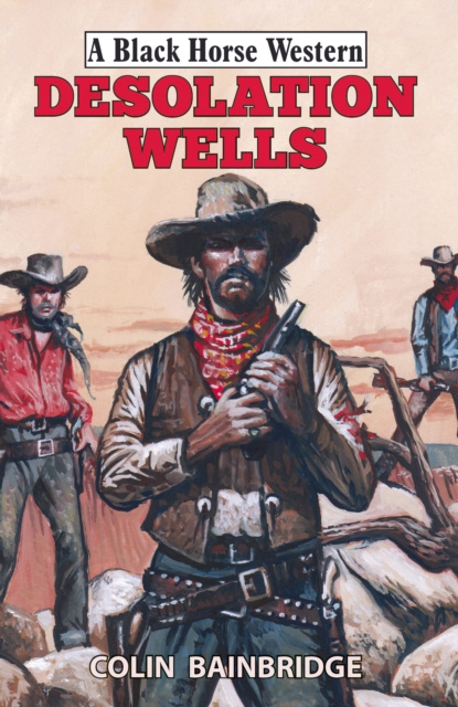 E-knjiga Desolation Wells Colin Bainbridge