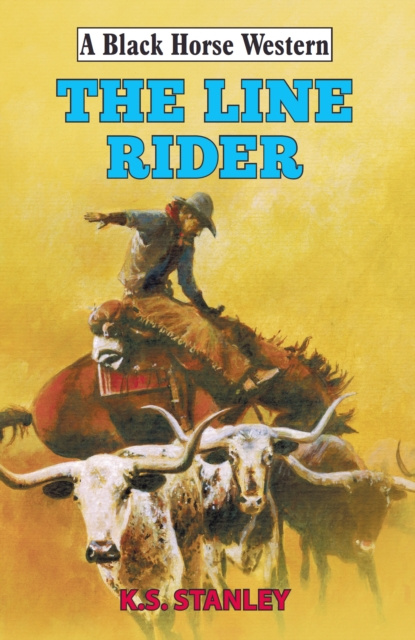 E-book Line Rider K.S. Stanley