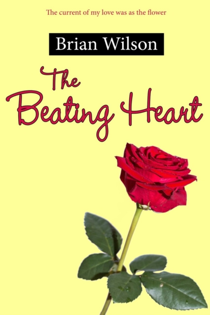 E-knjiga Beating Heart Brian Wilson