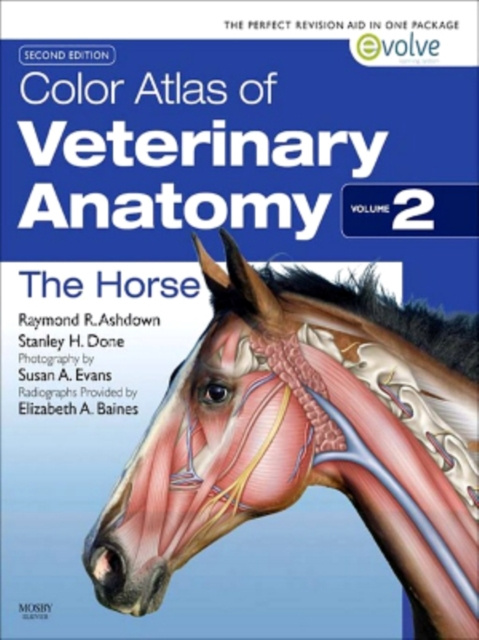 E-kniha Color Atlas of Veterinary Anatomy, Volume 2, The Horse Raymond R. Ashdown