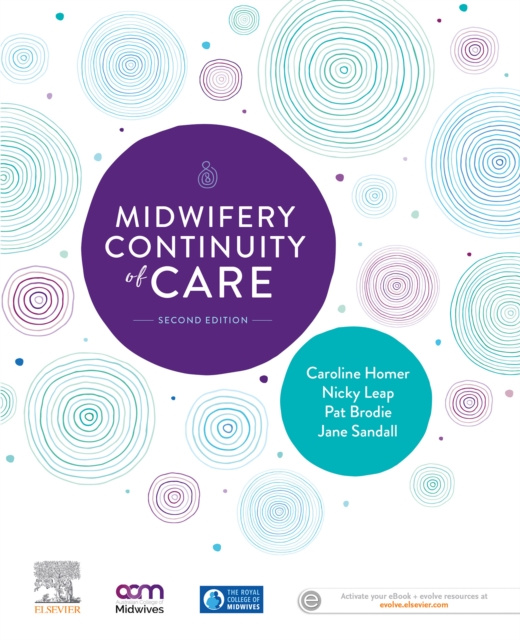 E-kniha Midwifery Continuity of Care Caroline Homer