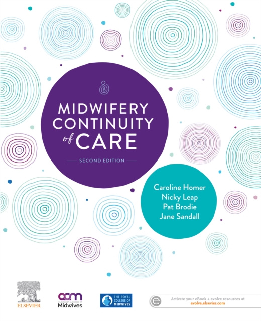 E-book Midwifery Continuity of Care Caroline Homer