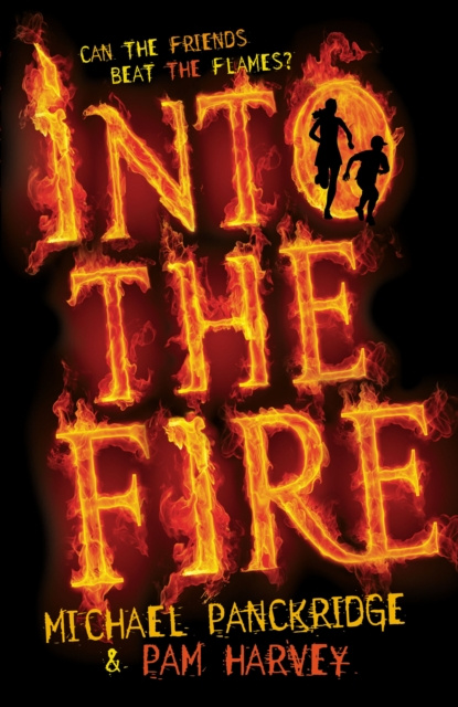 E-book Into the Fire Michael Panckridge