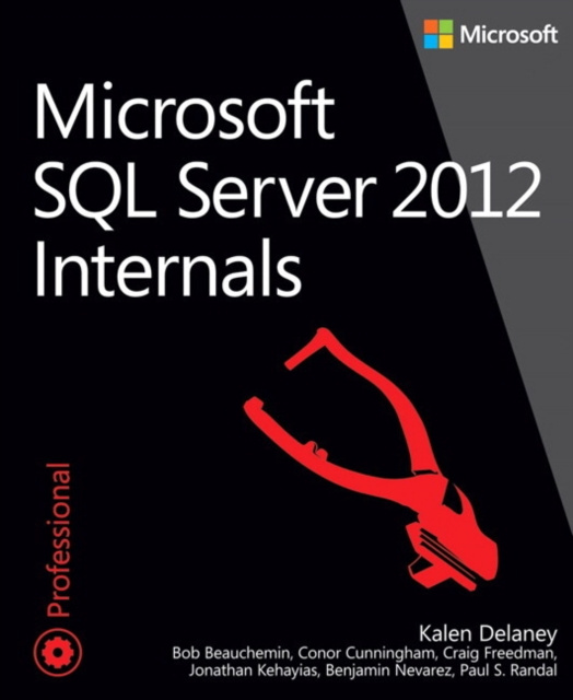 E-book Microsoft SQL Server 2012 Internals Kalen Delaney