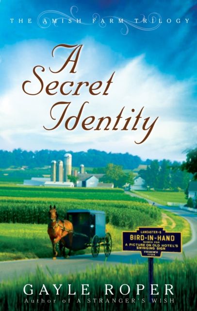E-book Secret Identity Gayle Roper