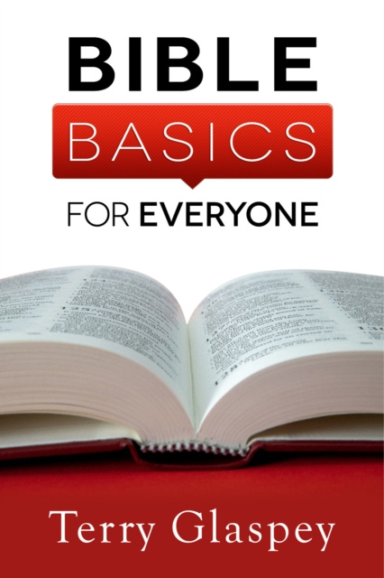 E-kniha Bible Basics for Everyone Terry Glaspey