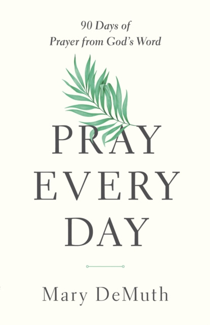 E-book Pray Every Day Mary E. DeMuth
