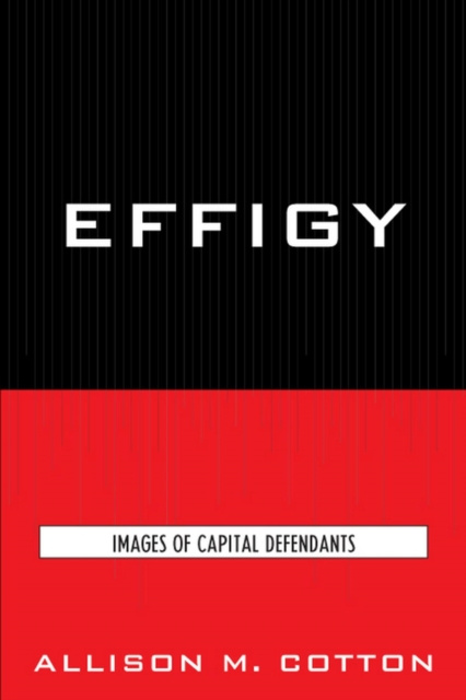 E-book Effigy Allison M. Cotton