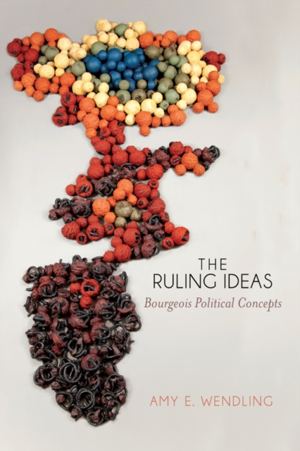 E-kniha Ruling Ideas Amy E. Wendling