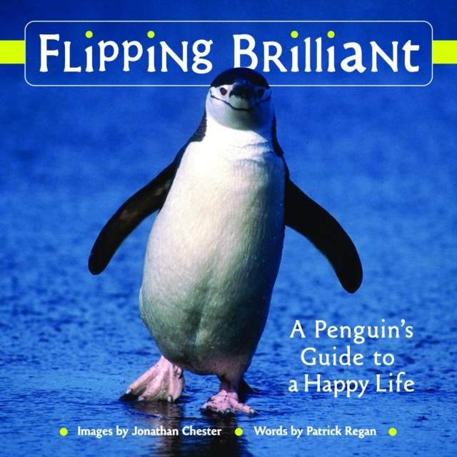 E-Book Flipping Brilliant Jonathan Chester