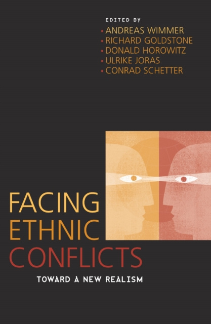 E-book Facing Ethnic Conflicts Wimmer
