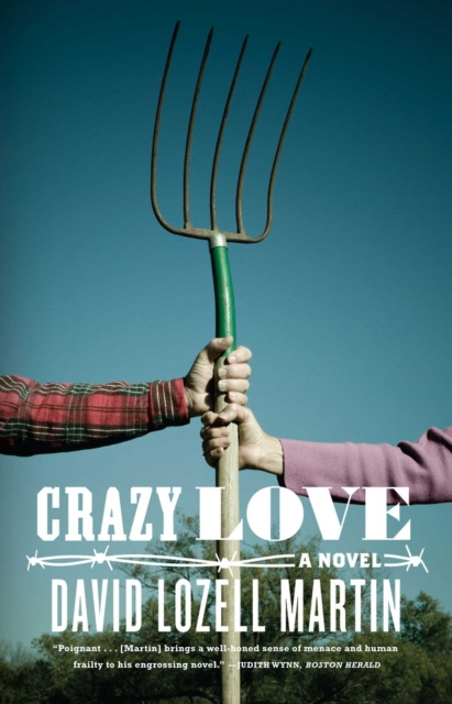 E-book Crazy Love David Lozell Martin