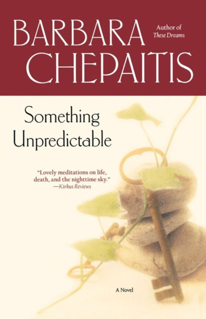E-knjiga Something Unpredictable Barbara Chepaitis