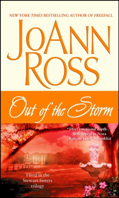 E-kniha Out of the Storm JoAnn Ross