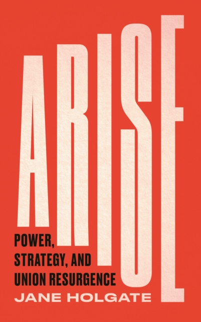 E-book Arise Jane Holgate