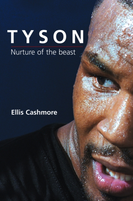 E-knjiga Tyson Ellis Cashmore