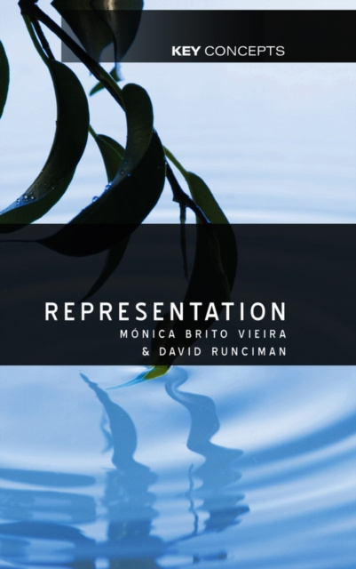 ebook Representation Monica Brito Vieira