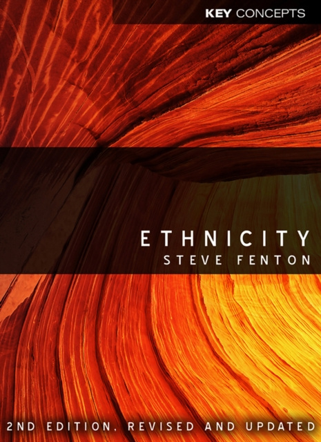 E-knjiga Ethnicity Steve Fenton