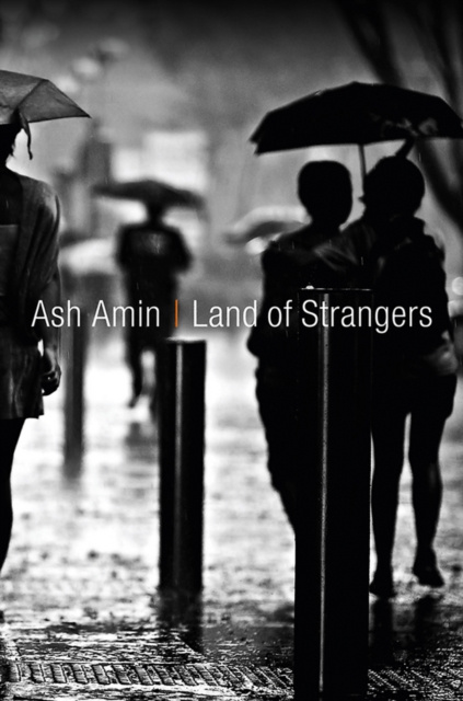 E-knjiga Land of Strangers Ash Amin