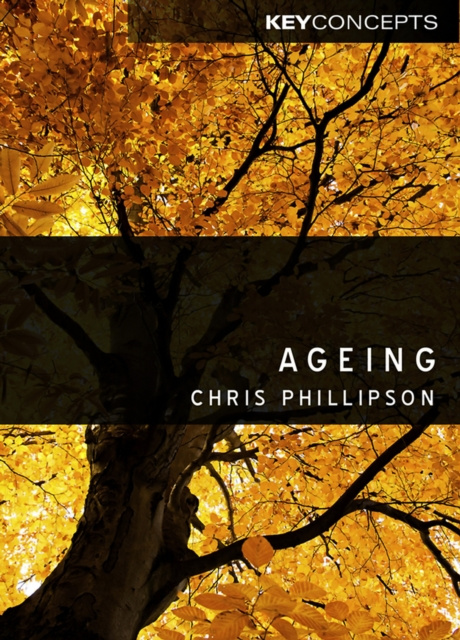 E-book Ageing Christopher Phillipson
