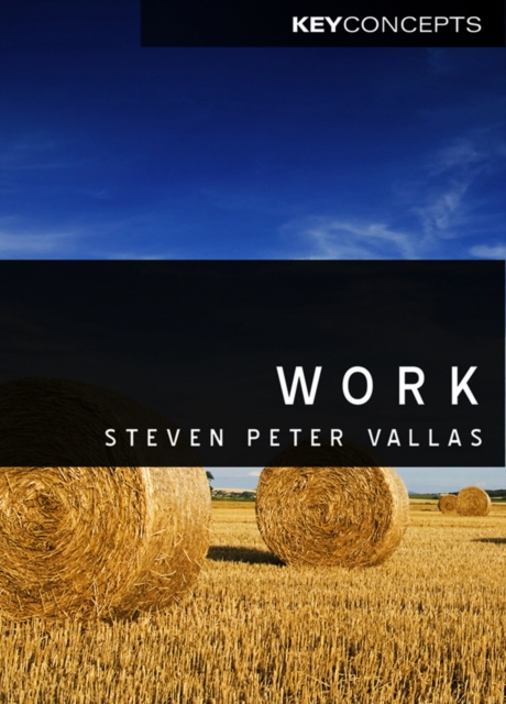 E-knjiga Work Steven Vallas