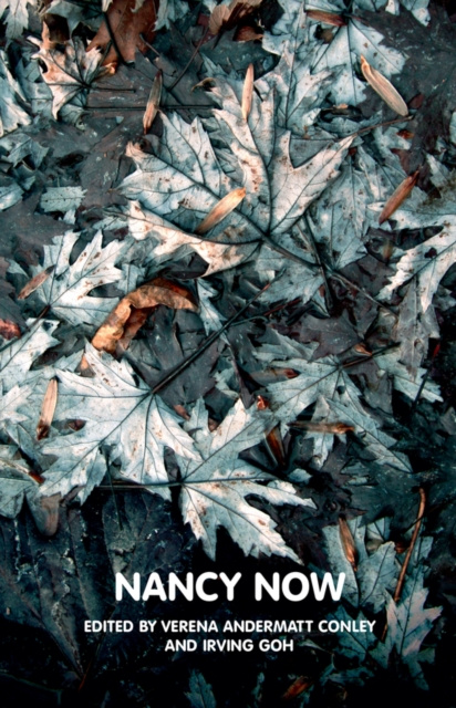 E-book Nancy Now Verena Conley