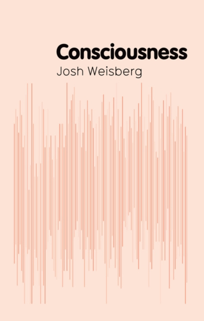 E-knjiga Consciousness Josh Weisberg