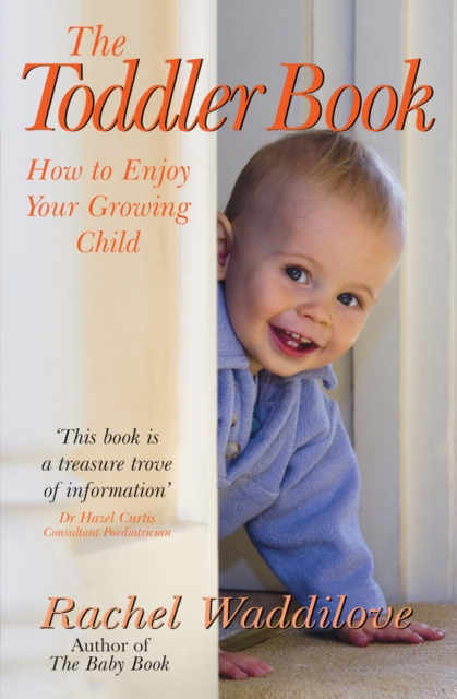E-book Toddler Book Rachel Waddilove