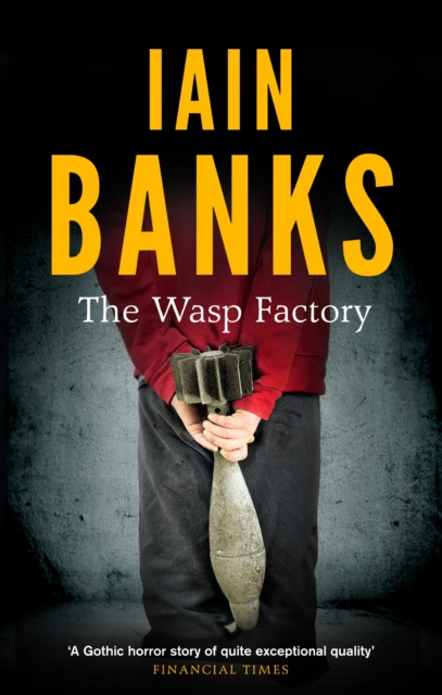 E-kniha Wasp Factory Iain Banks