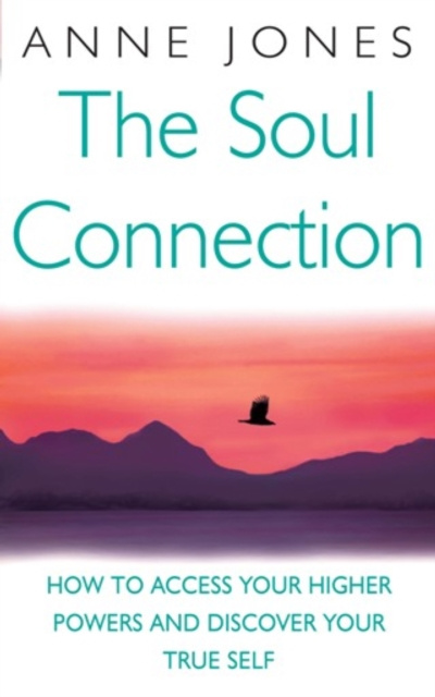E-book Soul Connection Anne Jones