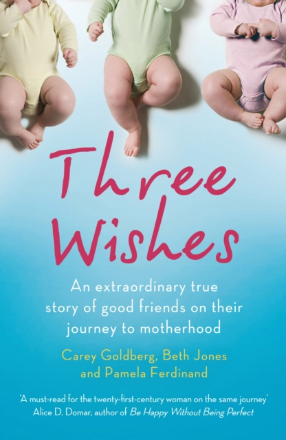 E-Book Three Wishes Carey Goldberg