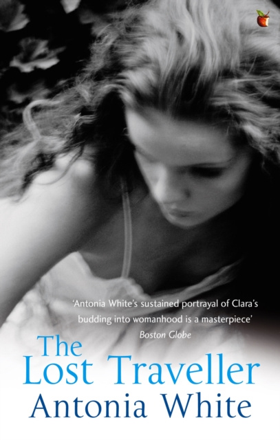 E-book Lost Traveller Antonia White