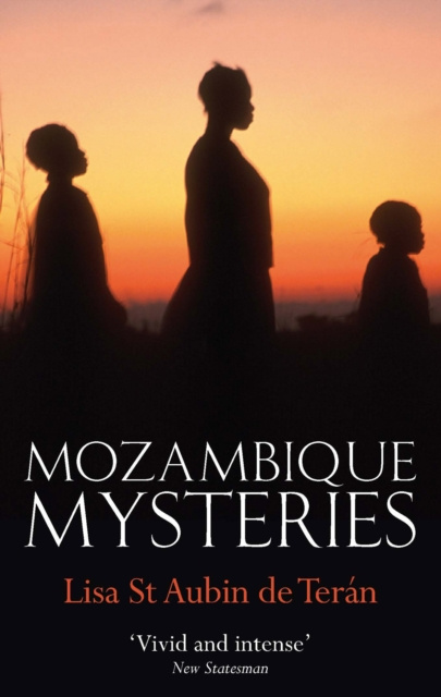 E-knjiga Mozambique Mysteries Lisa St. Aubin De Teran