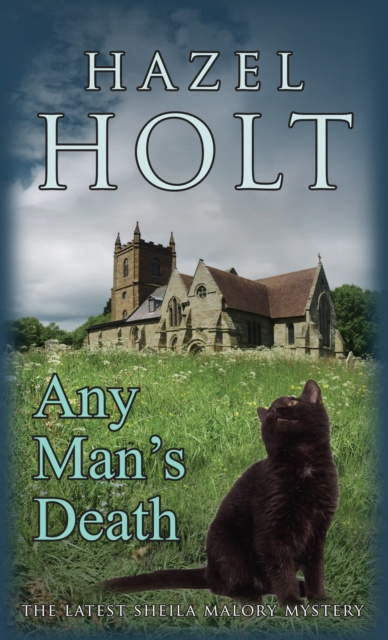 E-book Any Man's Death Hazel Holt