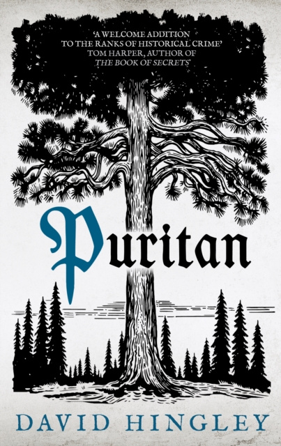 E-kniha Puritan David Hingley
