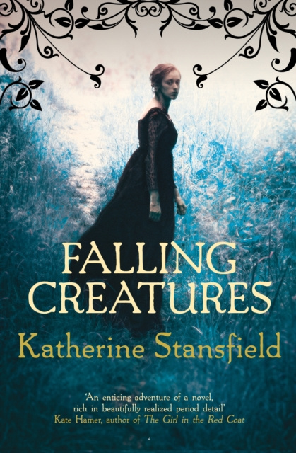 E-knjiga Falling Creatures Katherine Stansfield