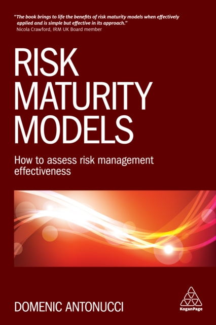 E-book Risk Maturity Models Domenic Antonucci